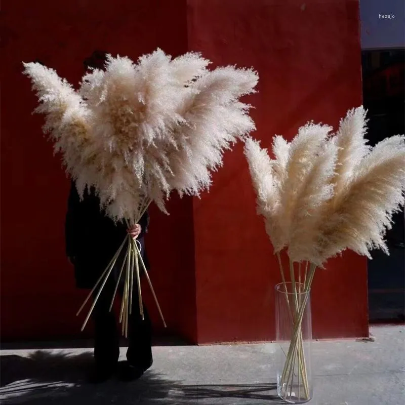 Decorative Flowers 60-120cm Fluffy Large Pampas Grass Dried Tall Natural Driy Christmas Home Boho Decor DIY Wedding Decoration