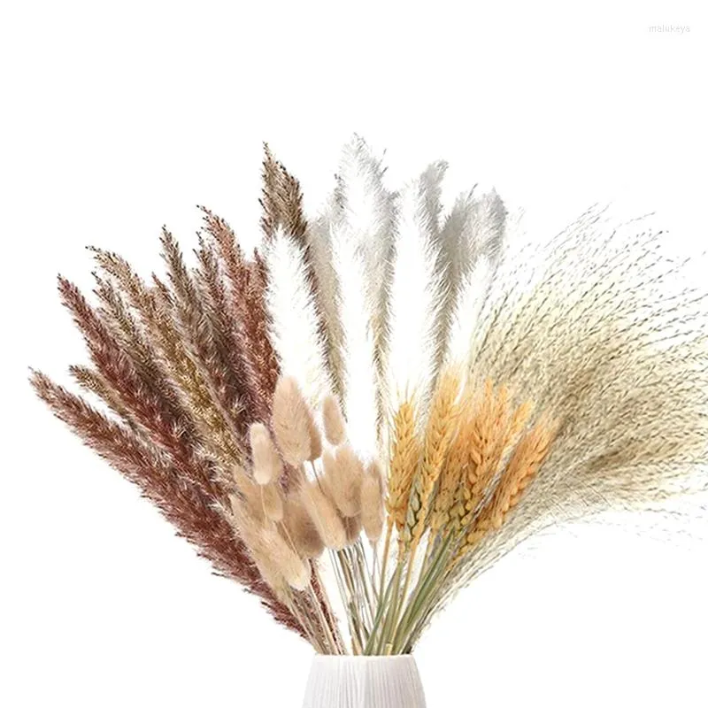 Kwiaty dekoracyjne BMDT-70 kawałki pampas trawa suszona dekoracja naturalna rośliny