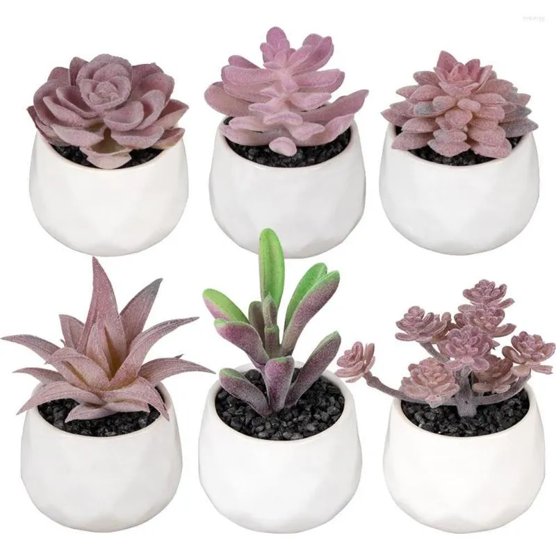 Fleurs décoratives 6 pièces plantes en pot artificielles Faux succulentes dans des Pots en céramique blanche pour chambre salle de bain bureau décor à la maison