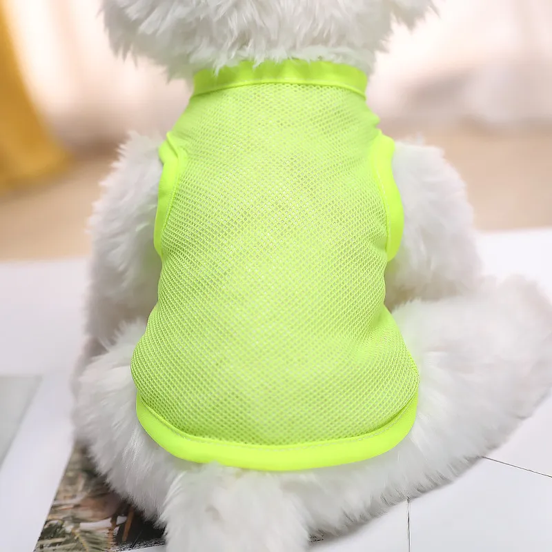 Vêtements pour animaux de compagnie maille gilet printemps été chien vêtements couleur unie haut sans manches Teddy VIP chat chien vêtements