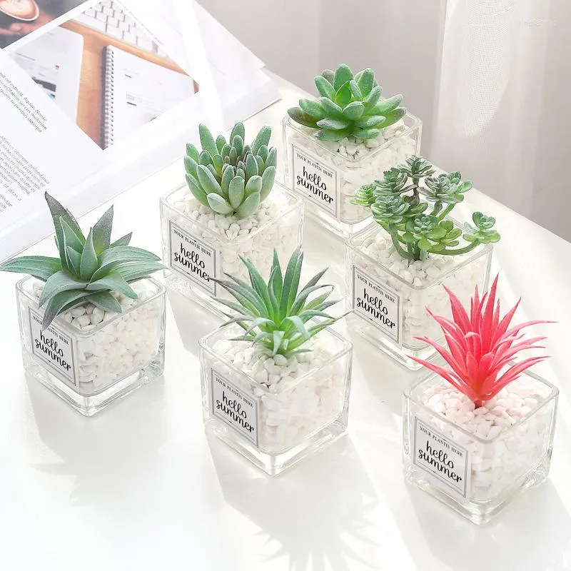 Decorative Flowers Succulent Simulation Small Sword Grass Bergamot Lotus Meaty Plant Potted Place Glass POTS Much Store Props