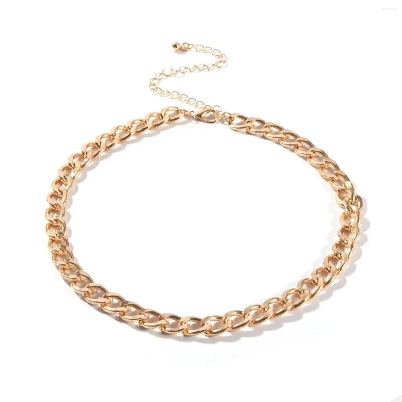 Chains Simple Link Chain Choker Necklaces For Women Classic Trendy Hip Hop Adjustable Necklace Party Wedding Fashion Jewelry