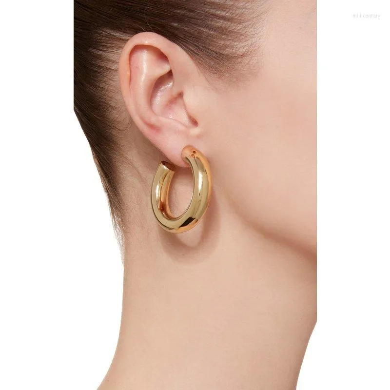 Hoop Earrings Gold Silver Color 5 20mm Thick Small Nice Earring 925 Ear Pin Classic Smooth Polished Circle Women Jewelry Est