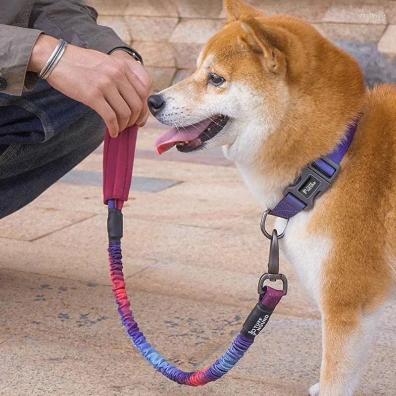 犬の襟のポリエステルの布鎖大きなミディアムスモールチェストハーネステディゴールデンレトリバーウォーキングロープペット用品