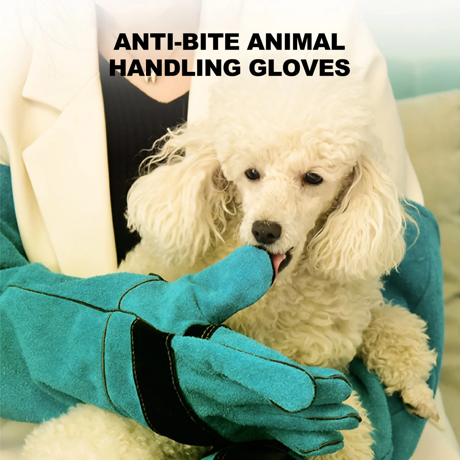 Protective gloves for dog cheap training