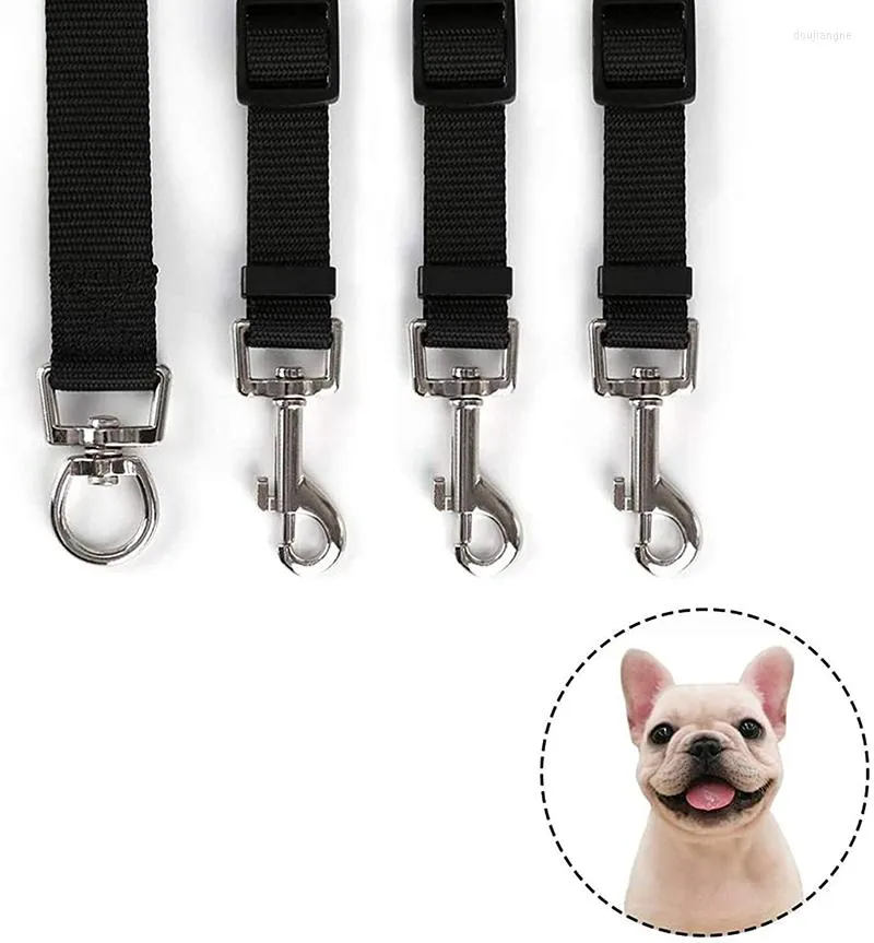 Colliers de chien laisse en Nylon chat plomb chiot marche course pour chiens en plein air grands petits animaux laisses corde