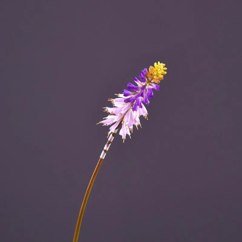 装飾的な花の花輪人工ユリフラワーブランチ最高品質シミュレーションファミリーエルウェディングデコレーションパーティーアクセサリーギフト偽物