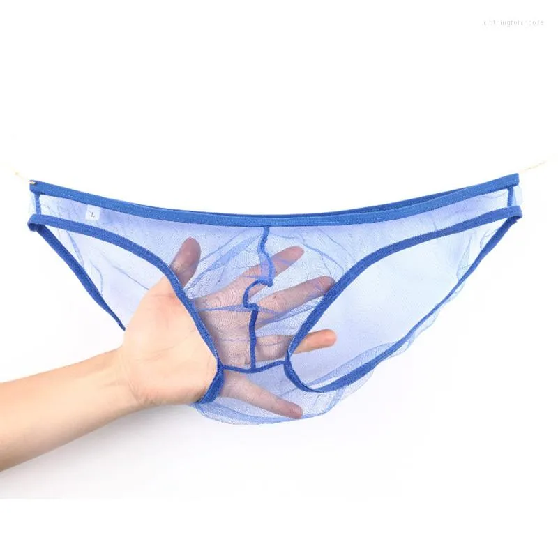 Slips Gay Slips Sexy Hommes Sous-Vêtements Maille Transparent Résille Slip Hombre Culotte Sissy Tanga Cueca Calzoncillos Ropa Intérieur Tongs