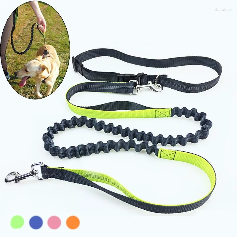 Dog Collars Hands Free Reflective Small Medium Leash For Dogs Running Walking Pet Lead Chain Adjustable Puppy Pug Rope Pets Supplies