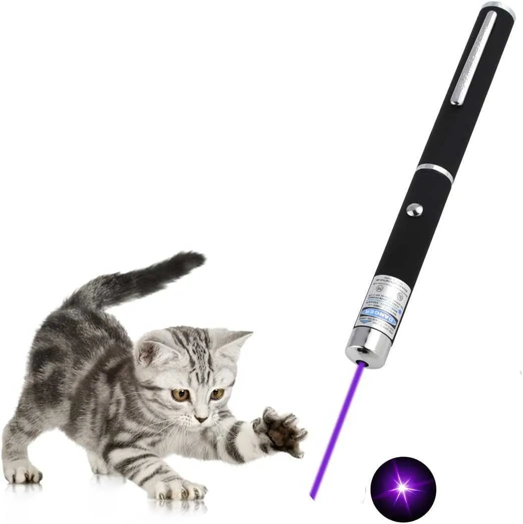 Puntatore laser per giocattoli per gatti Giocattoli interattivi per animali domestici ricaricabili USB con telecomandi puntatore rosso per aula interna interattiva