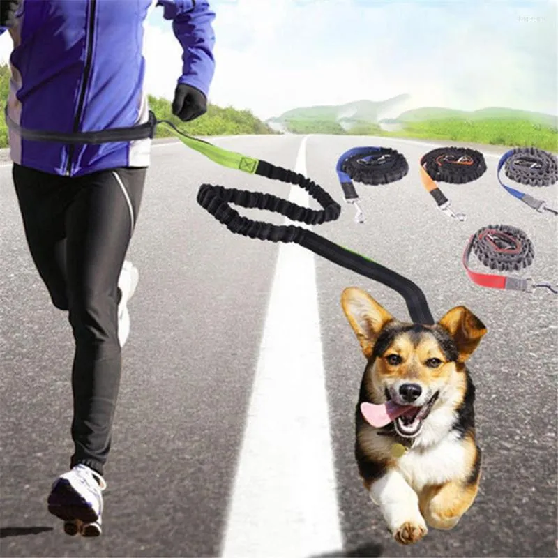 Obroże dla psów ręka darmowe jogging wyściełany pasek kota elastyczna smycz szczeniąt trening trening nylon trakcja trakcji refleksyjne zestawy linowe