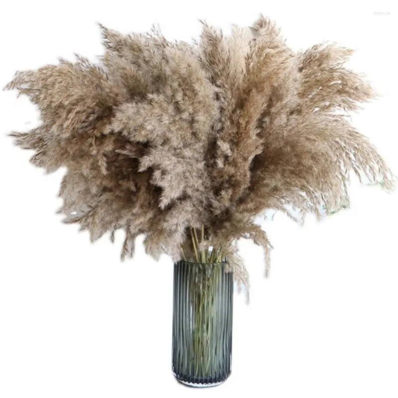 Decorative Flowers Natural Tail Grass 30pcs Cream Pampas Fluffy Room Phragmites Decoration Dried Flower Bouquet Boho Home Decor