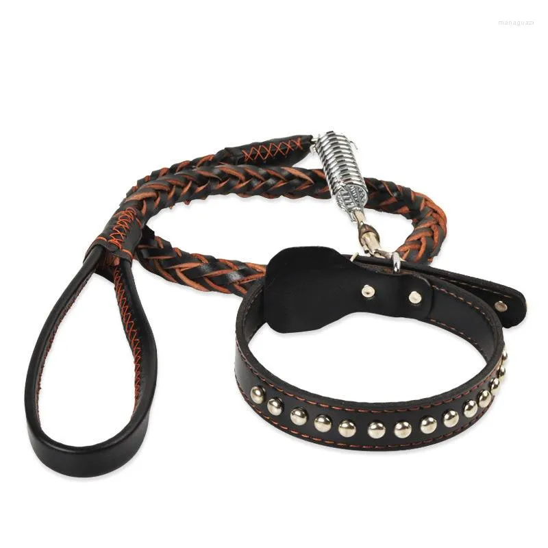 Dog Collars Pet Collar And Leash Set Leather Adjustable For Medium Large Cowhide Spring Design Luxury Accessories