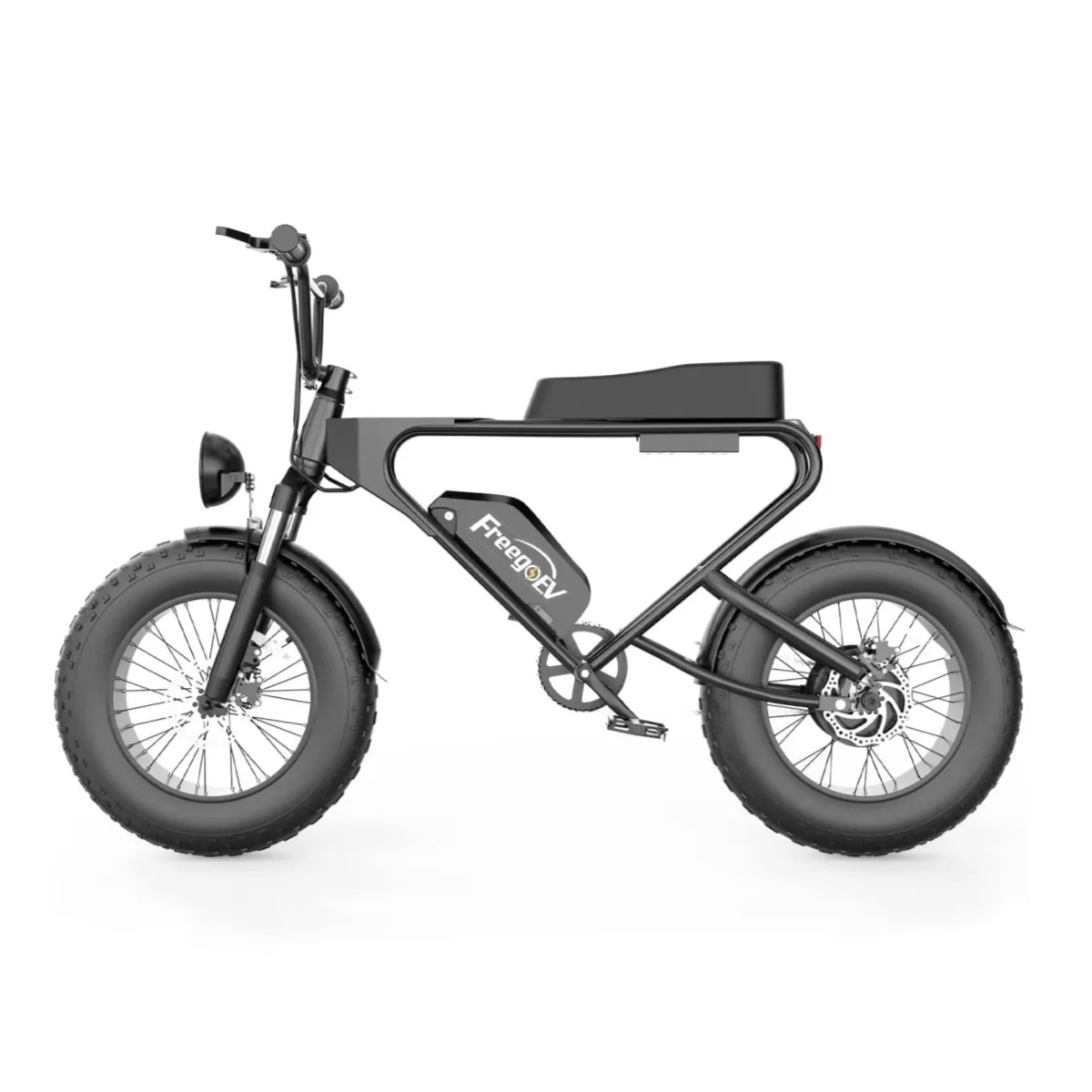 1200W Electric Cruiser 20 Inch Bike DK200 Electric Dirt Bicycle 48V 20Ah Hydraulic Disc Brake E-Bike Fat däck off-road Motorcykel 40miler Långt räckvidd