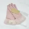 ski glove