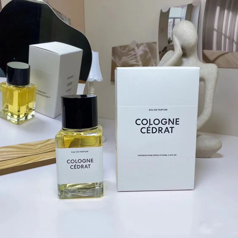 2023 nouveau haute parfum 100 ml Cologne cédrat Néroli orange Bois d'ébène musc parisien Santal austral Encens suave Radical rose parfum unisexe durable livraison gratuite