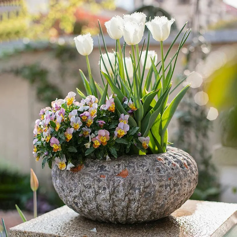 Vase Pot Stoare Pots Red Pottery Grey Round Chlorophytum Green Radish多重な花の配置