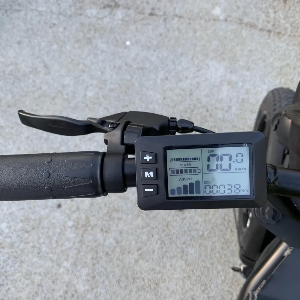 Freego bike price sale