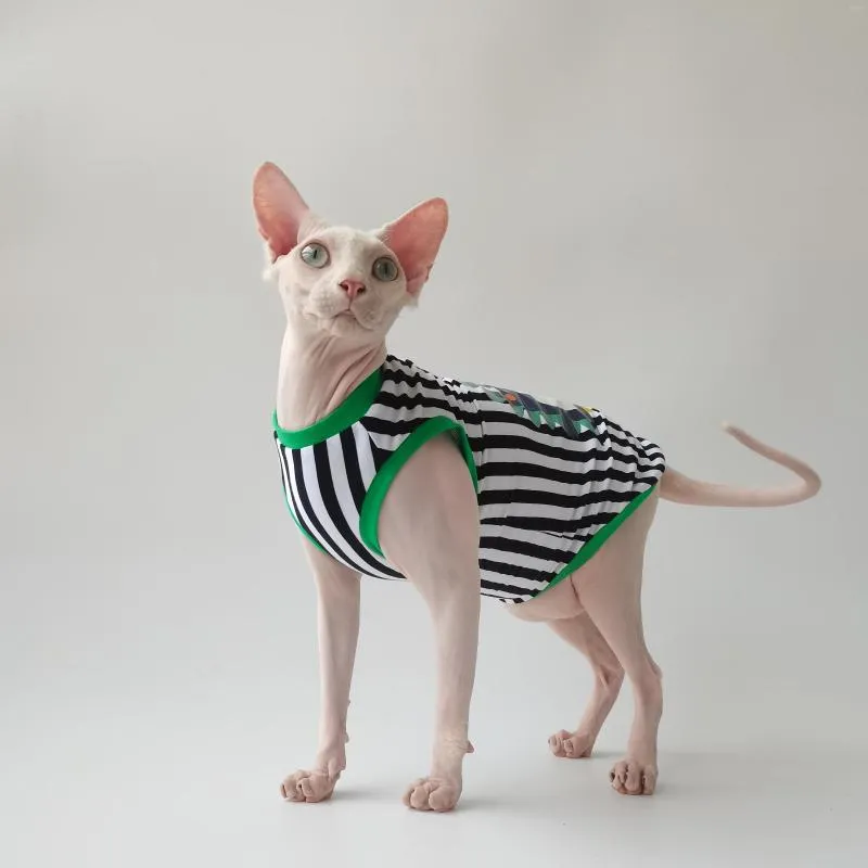 Kostiumy kota wmxz sphinx bezwłosie kotek pies kombinezon strój płaszczowy pet modny pasek bawełniany rękaw