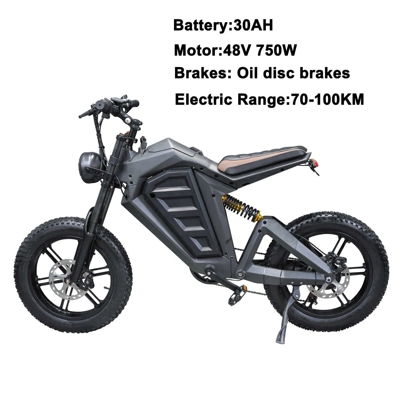 Bike Vintage Style 48V 750W Mountain Moped 20 Inch Fat Tire 30AH Battery Road Ebike Electric Bicycle