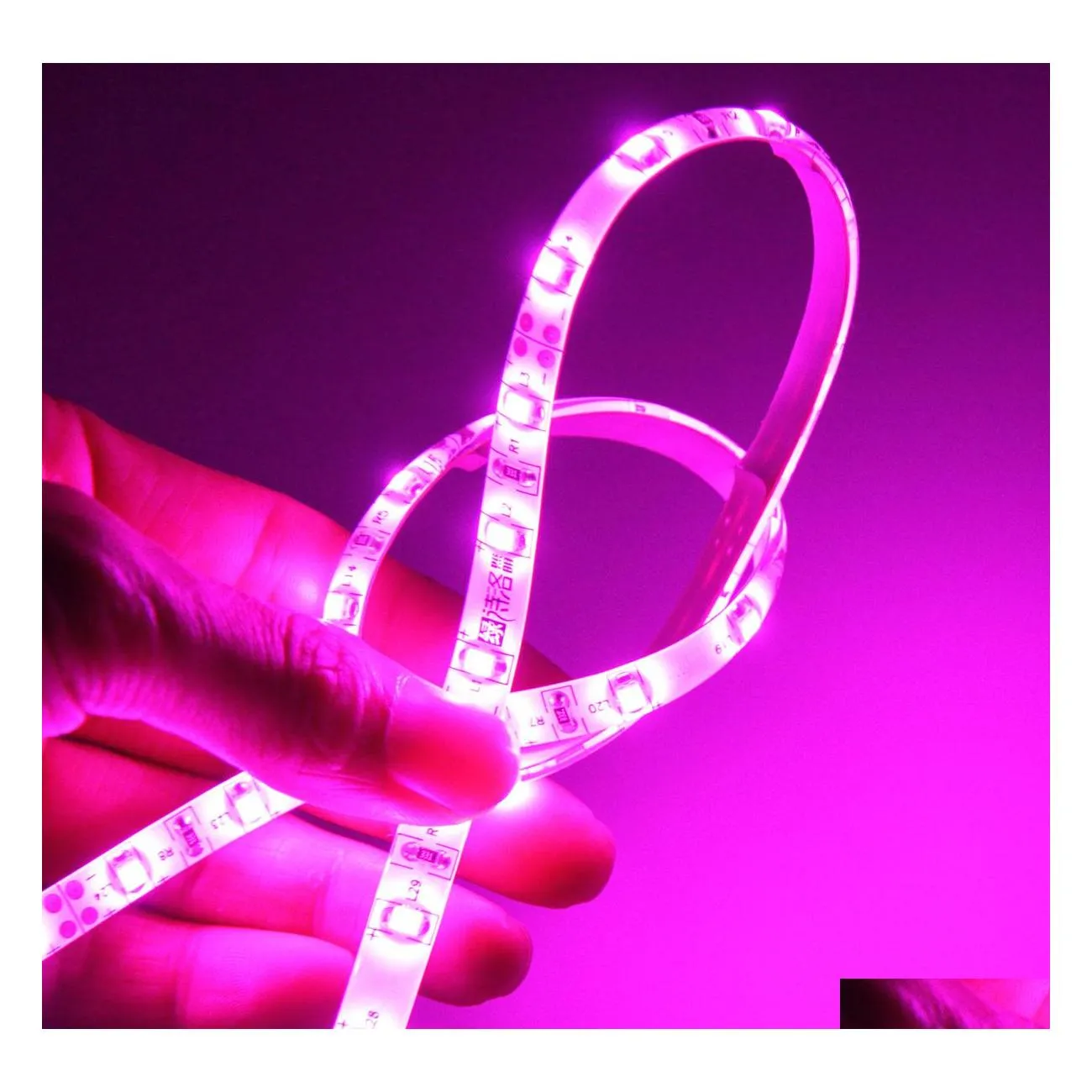 2016 Autre éclairage Led 100M 5050 3528 Bande Smd Violet clair/Rose Couleur unique Étanche Ip65 Non étanche Flexible 300 Bandes Led 1 Dhtew