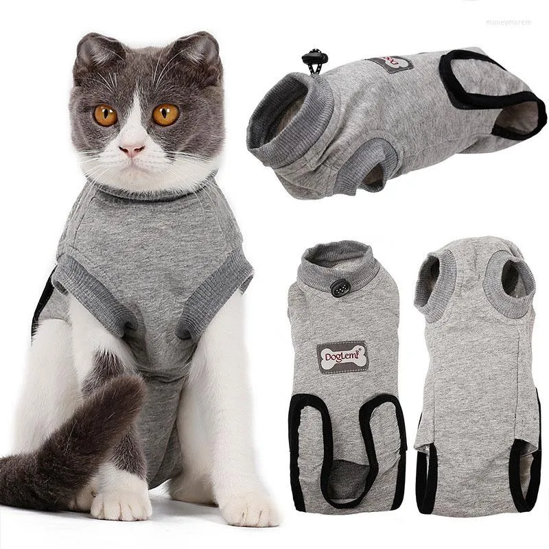 Costumes pour chats, gilet Anti-léchage professionnel, combinaison de récupération pour les blessures abdominales et les maladies de la peau, vêtements de soins après-chien