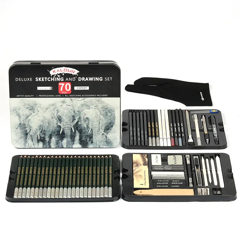 33pcs Professional Drawing Artist Kit Set Pencils and Sketch Charcoal Art &  Bag – Sparepart Gallery