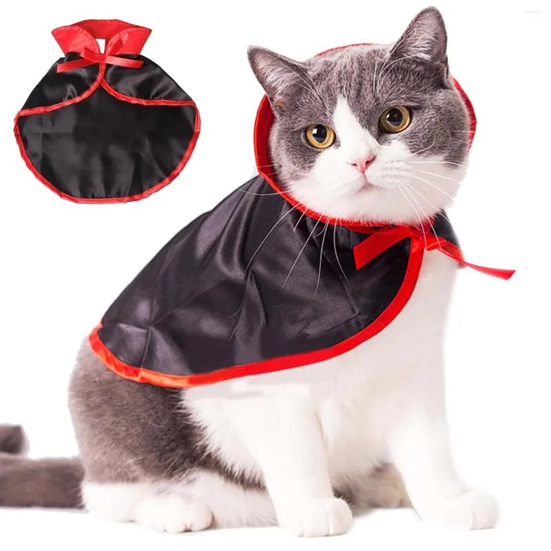 Trajes de gato fantasia de cão de estimação Halloween