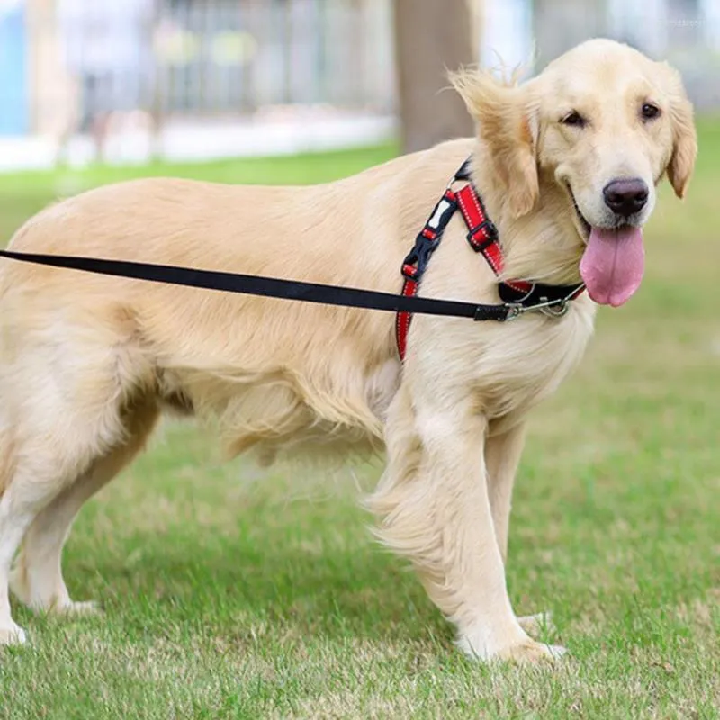 Collari per cani Trazione per animali domestici con colletto Petto Cintura posteriore Corda da passeggio Cowboy Forniture robuste