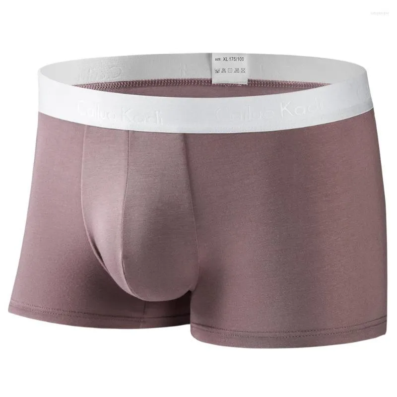 Caleçon jeunesse grande taille taille moyenne hommes Boxer slips Modal respirant confortable élastique couleur unie boxeurs hommes sous-vêtements