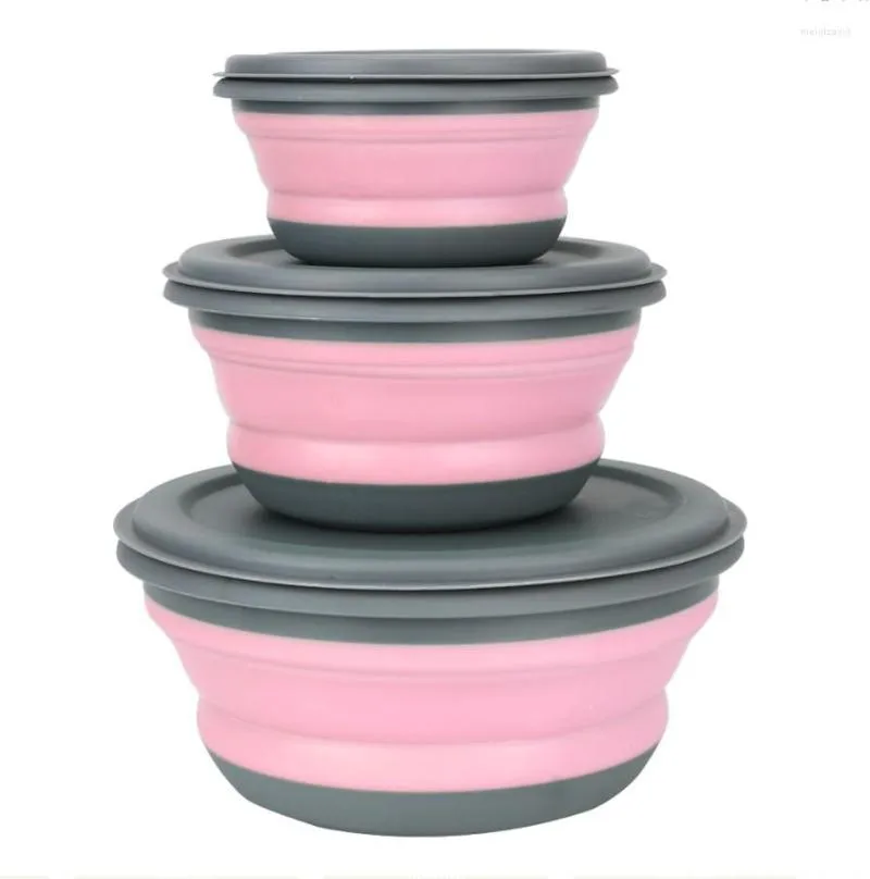 Bols 3 pièces/ensemble pliable bol pliant Portable Silicone salade déjeuner boîte ensembles avec couvercle ensemble de vaisselle