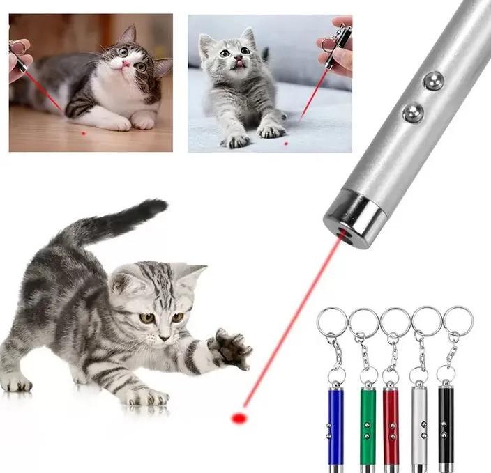 Mini 2in1 LED Keychain Laser Pointer Amazon Keychain Flashlight Torch