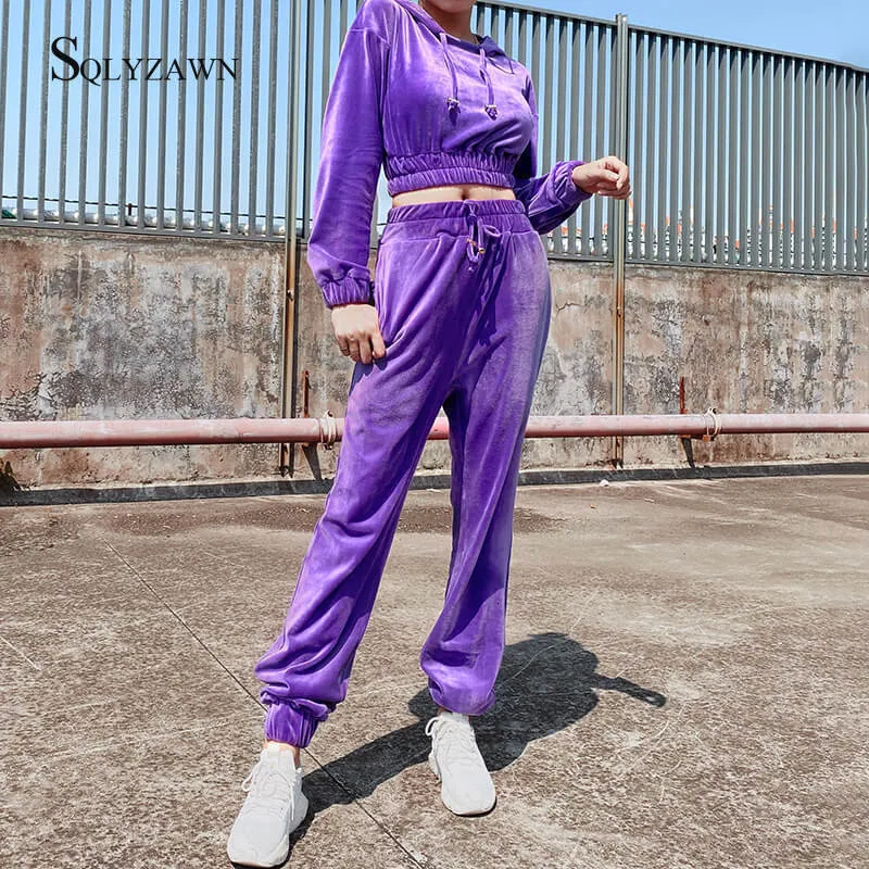 Athletic Lilac Velvet Tracksuit Two Piece Pant Set Velvet Hoodie