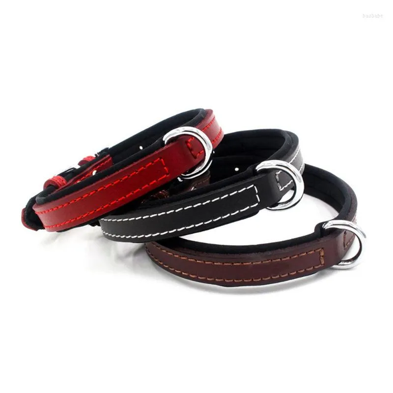 Collari per cani Collare per animali durevole in vera pelle Marrone Nero Rosso Per cuccioli Taglia grande XS S M L XL