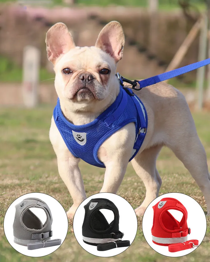 Ensemble harnais et laisse pour chien pour la marche Harnais pour chat et chien Harnais en maille douce Harnais réglable pour chat avec sangle réfléchissante Confortable pour chaton, chiot, lapin