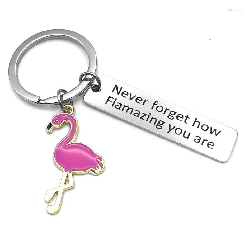 Nyckelringar Anpassad hög kvalitet Glöm aldrig hur flamazing du är inspirerande emalj flamingo charm metall rostfritt stål nyckelkeychains