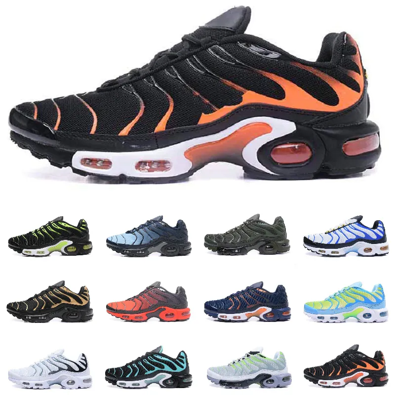 tn air shoes price