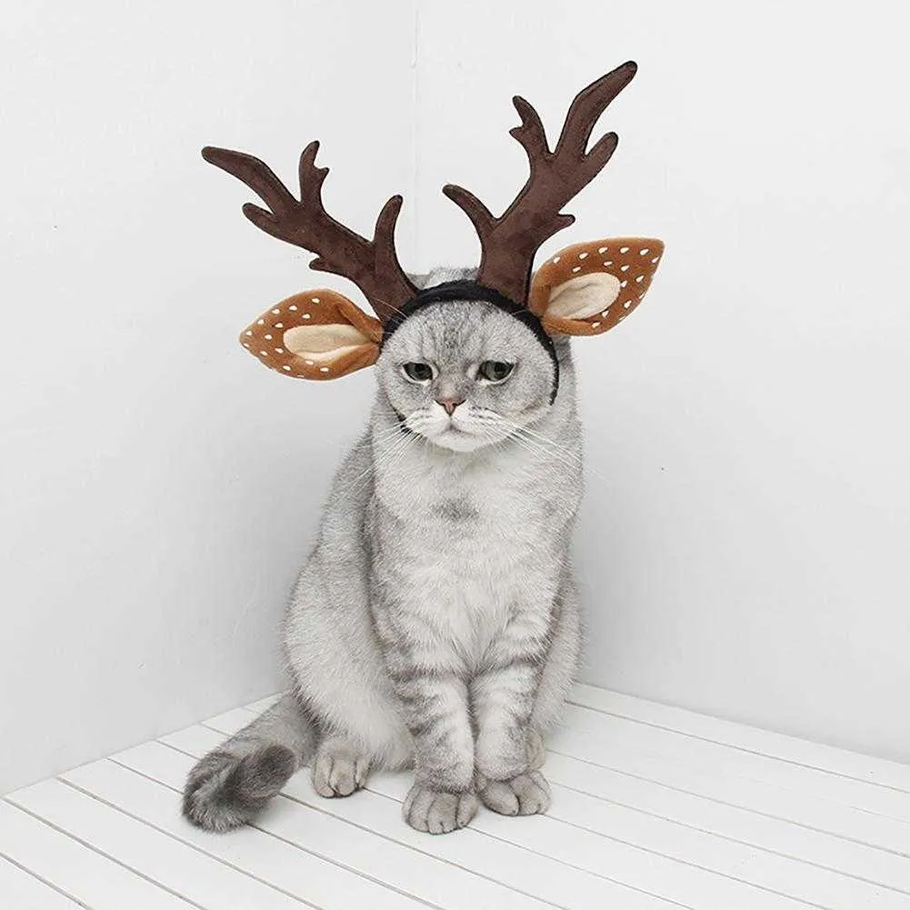 Cat reindeer deals costume