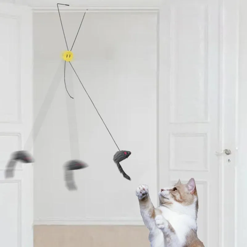 Cat Toys Retractable Interactive Toy Hanging Door Funny Stick Scratch Rope Mouse Tease Pet Catching Training Tools