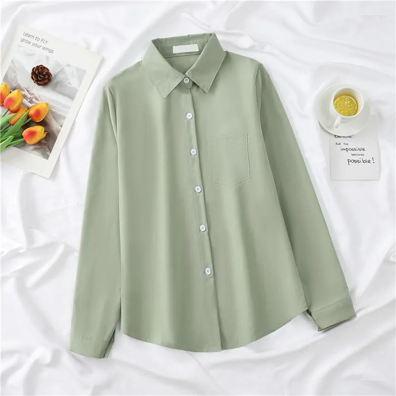 Women's T Shirts Casual Women Solid Cotton Shirt 2023 Spring Girl T-Shirt Loose Long Sleeve Cloths Classic Business Office Top Blouse XXL