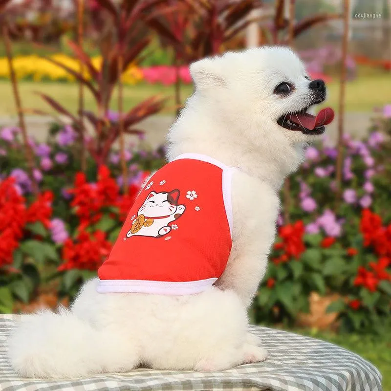 고양이 의상 치와와 강아지 여름 옷 만화 동물 조끼 새끼 고랑하는 개가 하네스 미니 코트 애완 동물 용품 sphynx