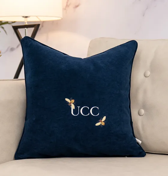 Diseñadores Moda Cojines Cojín de alta calidad Artículos para el hogar Carta decorativa Impreso Muebles para el hogar Mujeres sin núcleo de almohada