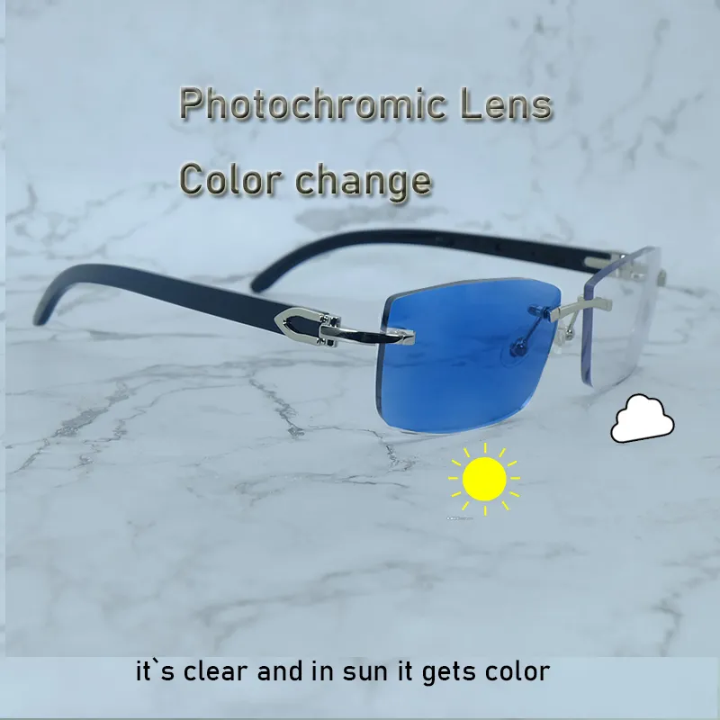 Kleurverandering zonnebril fotochromic lenzen glazen carter zwarte buffel hoorn twee kleuren lenzen 4 seizoen houten luxe designer tinten heren brillen brillen