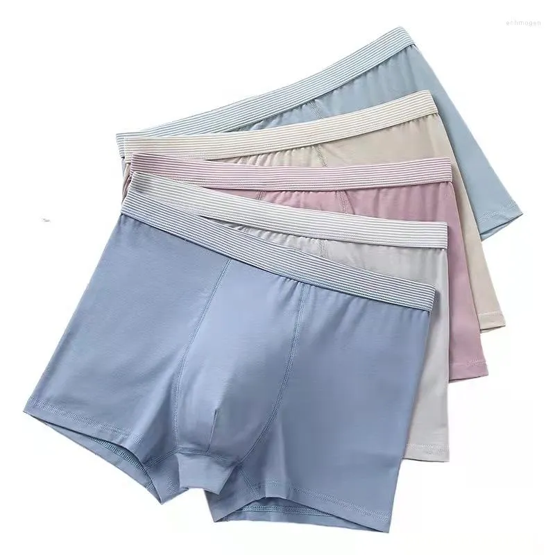 Underpants 2023 Autumn And Winter Men's Underwear Sexy Comfortable Breathable Pima Cotton Boxer Shorts Underpante Trend