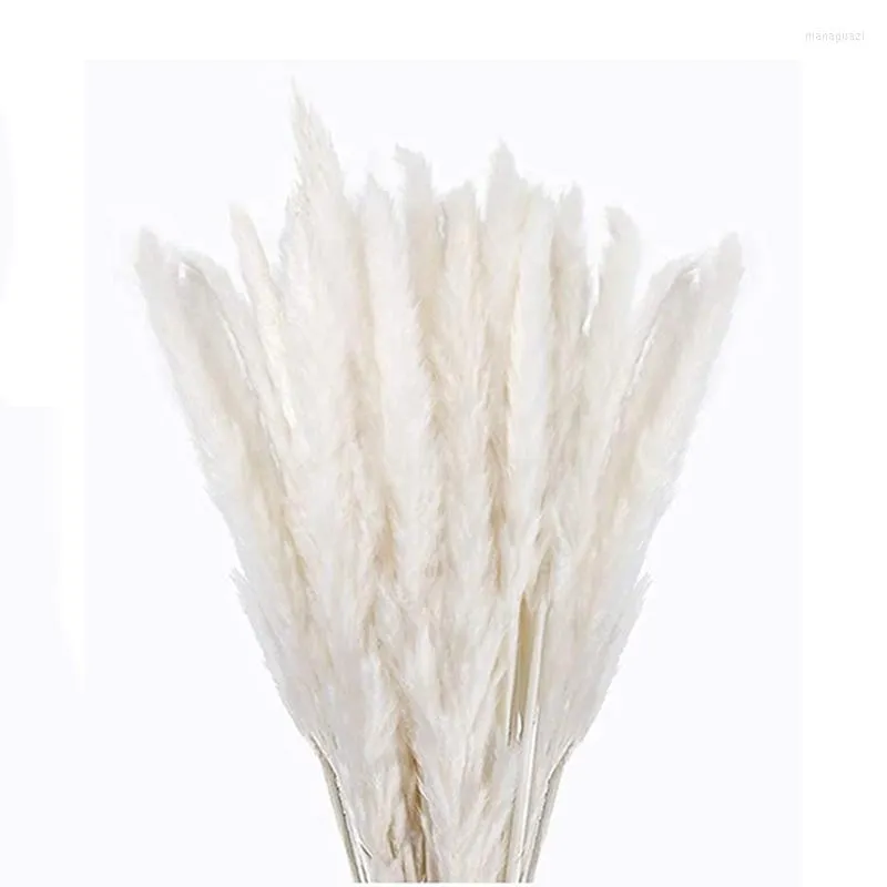 Decorative Flowers 30 Pcs White Pampas Grass 17Inch Natural Dried Branches Decor For Home Kitchen Garden Party Pographing