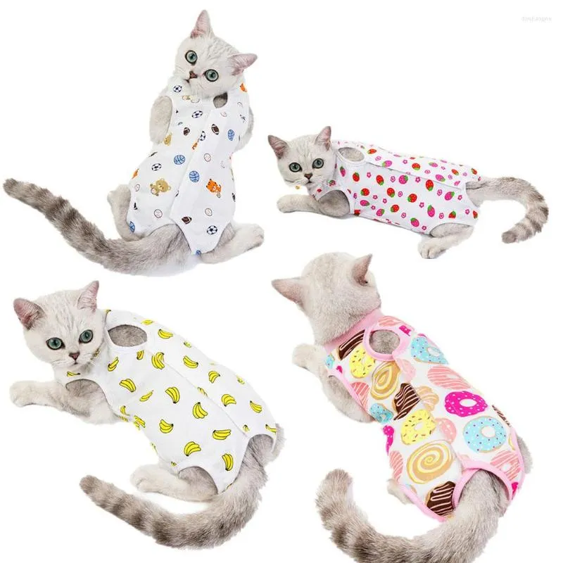 Trajes de gato Pet Puppy Puppy Dog Rest Professional Recovery Suit para feridas abdominais ou doenças de pele alternativa de colarinho eletrônico