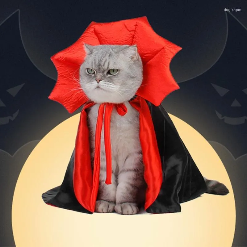 Disfraces de gato Ropa linda para disfraz de VAMPIRO Mascota Accesorios de vacaciones de Halloween Capa con capucha Tema Po Props KXRE