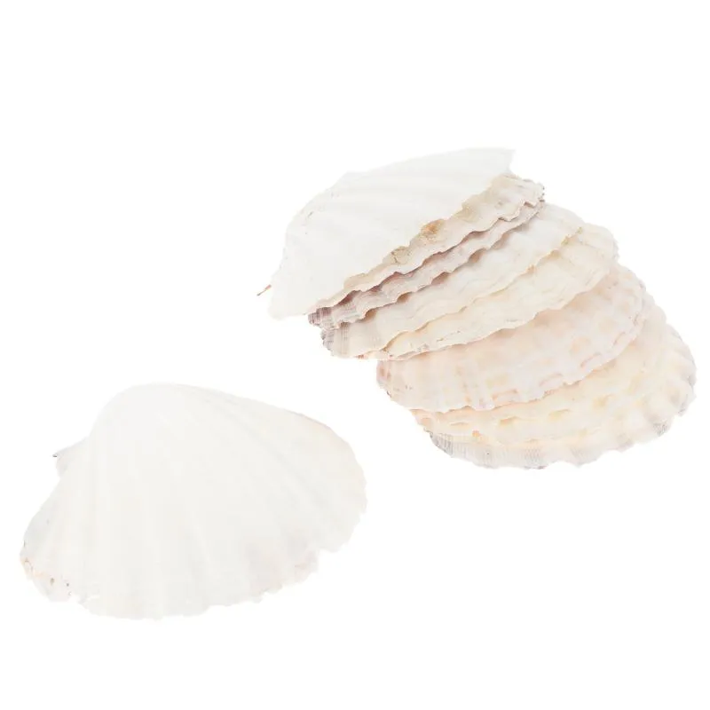 Pendant Necklaces Shells Scallop Shell For Plate Baking Sea Plates Tray Food Serving Large Dish Natural Crafts Snack White Seashells