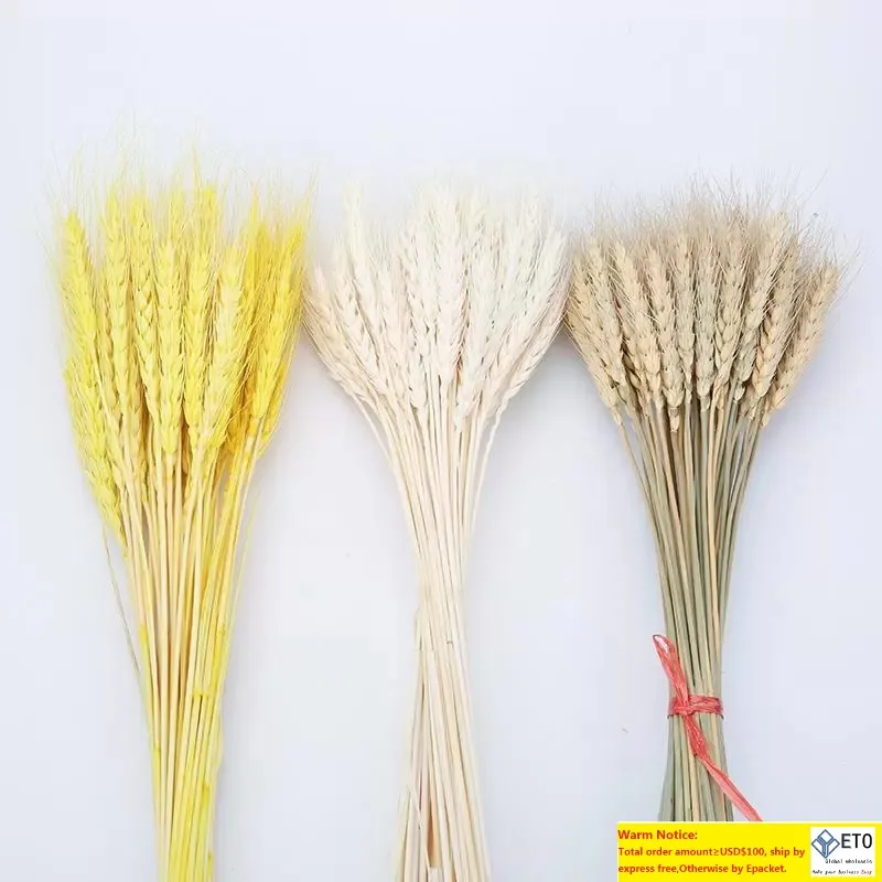 装飾的な花の花輪100pcslot本物の小麦の耳の花は、結婚式のホームパーティーのために自然乾燥していますDiyクラフトスクラップブック装飾bouq