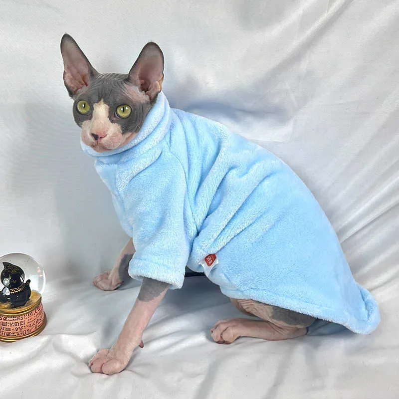 Vêtements pour online chat sphynx